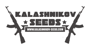 картинка Kalashnikov Express от магазина Semki