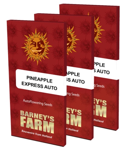 картинка Pineapple Express Auto от магазина Semki