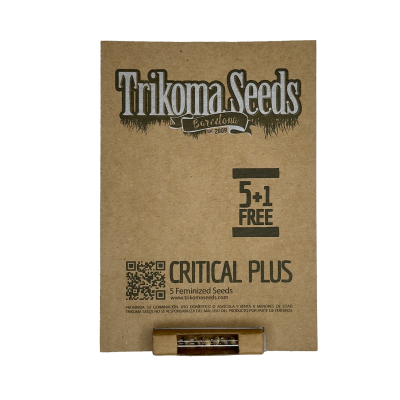 картинка Critical Plus от магазина Semki