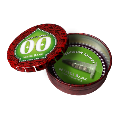 картинка Rainbow Mint от магазина Semki