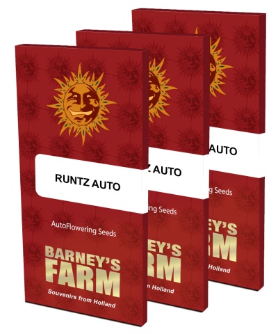 картинка Runtz Auto от магазина Semki