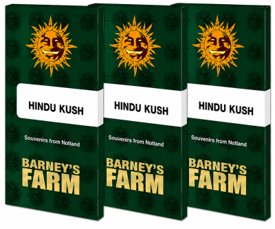 картинка Hindu Kush от магазина Semki