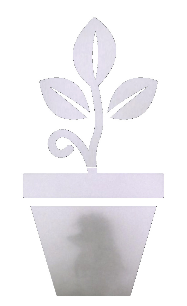 Haze