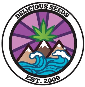 картинка Bay Burger от магазина Semki