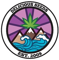 картинка Fruity Chronic Juice от магазина Semki