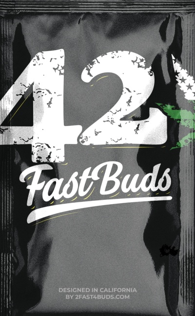 картинка Bruce Banner Auto от магазина Semki