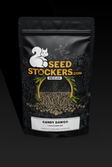 картинка Candy Dawg Auto от магазина Semki