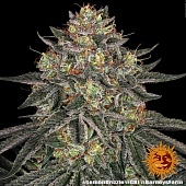 картинка Lemon Drizzle от магазина Semki