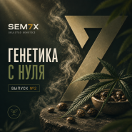 ГЕНЕТИКА С НУЛЯ. ВЫПУСК №2 от магазина Semki