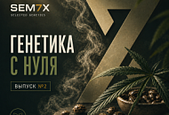 ГЕНЕТИКА С НУЛЯ. ВЫПУСК №2 от магазина Semki