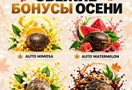 ПОДАРКИ В КАЖДОМ ЗАКАЗЕ! от магазина Semki