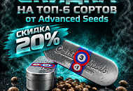 ТОП-6 СОРТОВ ОТ ADVANCED SEEDS СО СКИДКОЙ 20% от магазина Semki